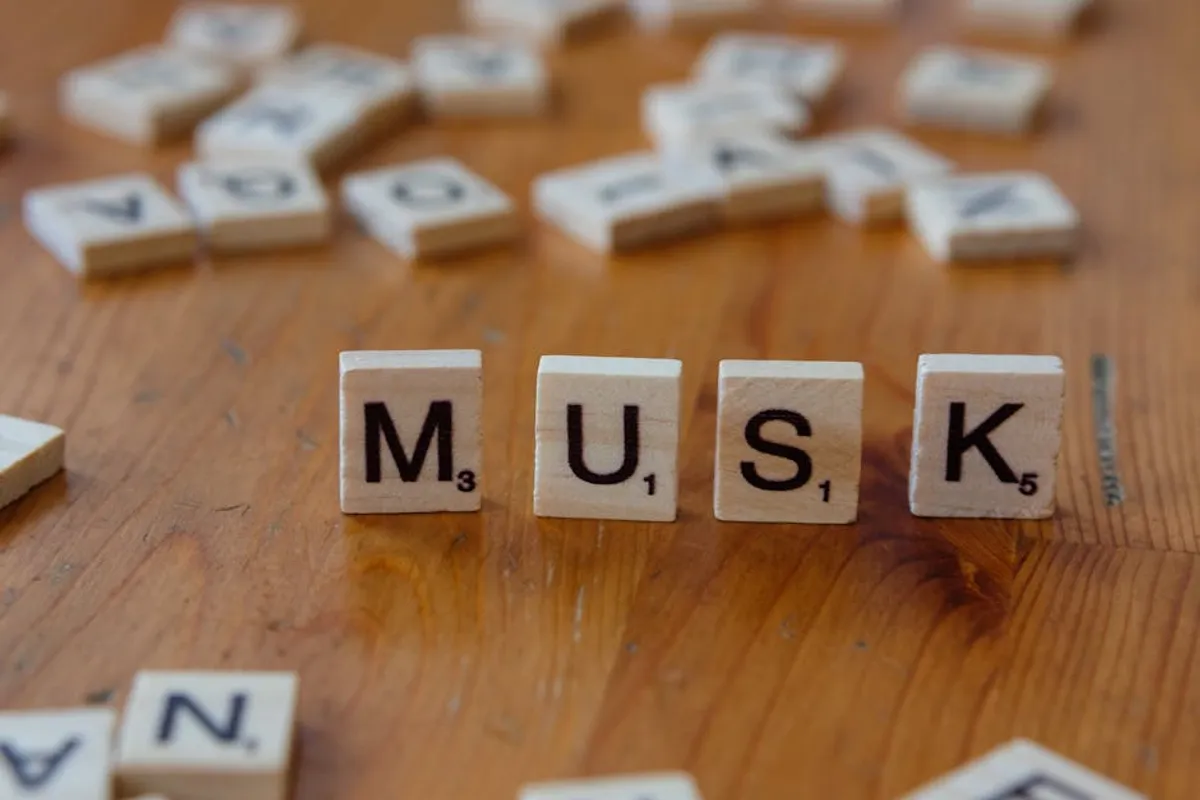 Best Word Games for Vocabulary and Brain Training