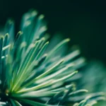 How to Build Evergreen Content for Gaming Sites