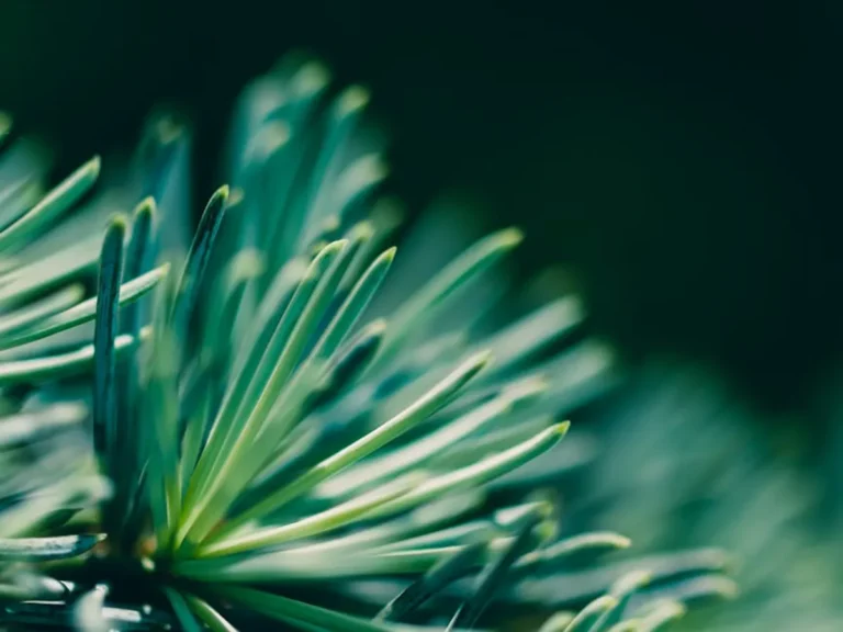 How to Build Evergreen Content for Gaming Sites